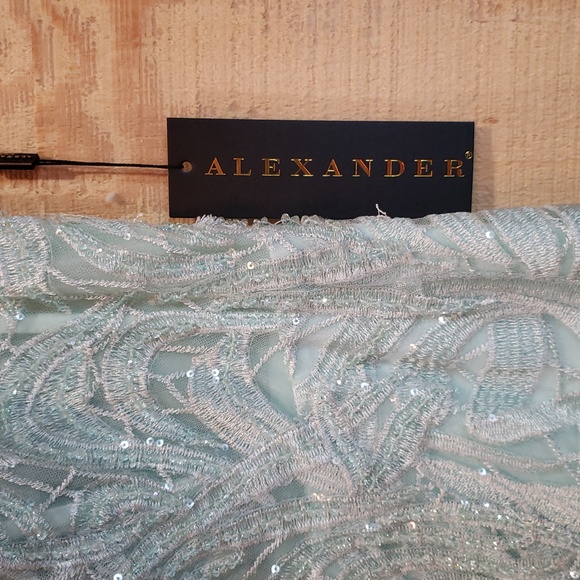 Alexander By Daymor NEW Mist Green Beaded Maxi Gown Dress Size 6 #1765 - Picture 5 of 11